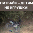 Мототранспорт опасное развлечение!!! - ОМВД Пономаревского района 
